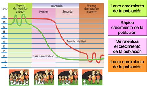 Esquema de la transición demográfica: aumento de la esperanza de vida y disminución de la fecundidad como motores del envejecimiento poblacional.