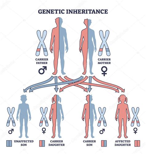 Representación de la genética y el autismo