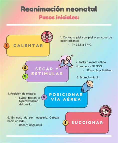 Infografía: Pasos iniciales para solicitar la pensión en Chile