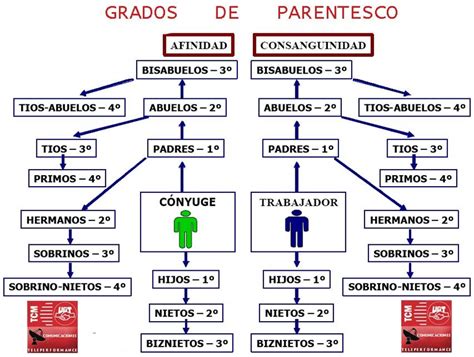Esquema de la línea de parentesco para la obligación alimentaria