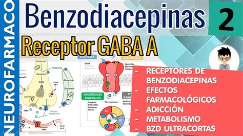 Esquema del mecanismo de acción de las benzodiazepinas en el sistema nervioso central, mostrando la interacción con los receptores GABA.