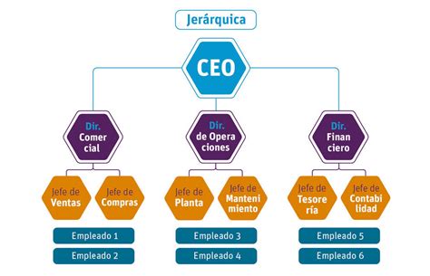 Ejemplo visual de la estructura jerárquica de 4 niveles de las categorías de la CIF con códigos alfanuméricos