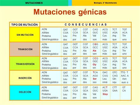 Diagrama que ilustra las diferentes alteraciones genómicas y mutaciones asociadas al desarrollo de la leucemia linfoblástica aguda.