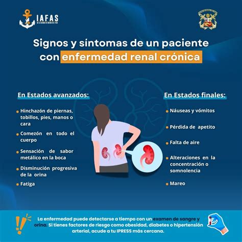 Gráfico que muestre el patrón funcional del paciente con enfermedad renal crónica avanzada en tratamiento conservador, ilustrando el declive de la función y el aumento de la carga de síntomas hacia el final de la vida, destacando los puntos de intervención de los cuidados paliativos.
