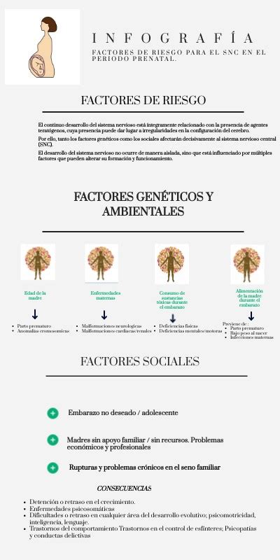 Diagrama mostrando los factores de riesgo prenatal para la discapacidad intelectual, incluyendo infecciones, exposición a toxinas y anomalías genéticas.