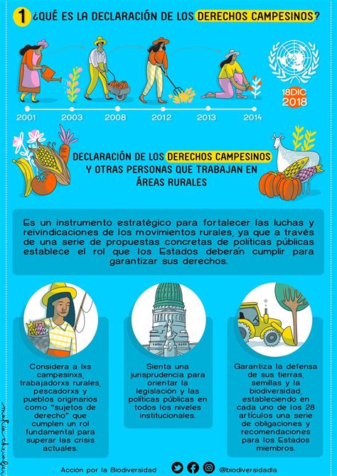 Infografía sobre los distintos especialistas que trabajan en un ELEAM