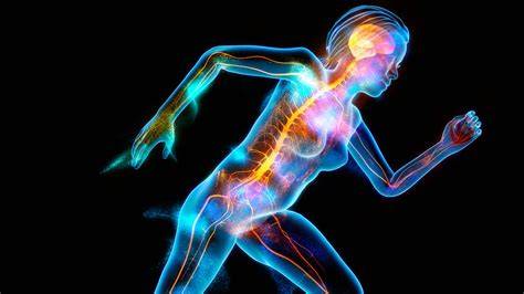 Esquema: La relación entre cuerpo, mente y movimiento en la psicomotricidad