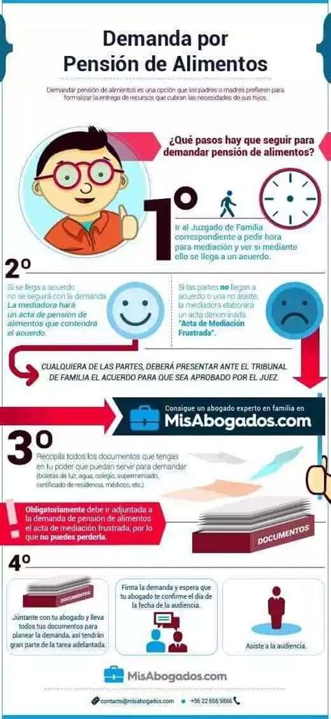 Infografía: Proceso de cálculo de pensión alimenticia en Chile