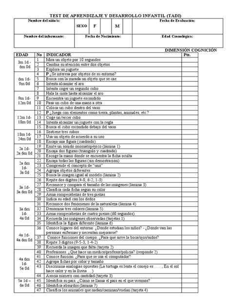 Ejemplo de materiales utilizados en pruebas de desarrollo infantil.