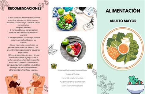 Infografía que ilustra los cinco ejes clave que influyen en la alimentación del adulto mayor: economía, cultura, educación, políticas y sostenibilidad.