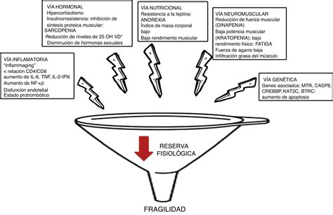 Diagrama de interacciones fisiopatológicas de la fragilidad