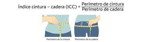 Ilustración que muestra la medición correcta de la circunferencia de cintura.