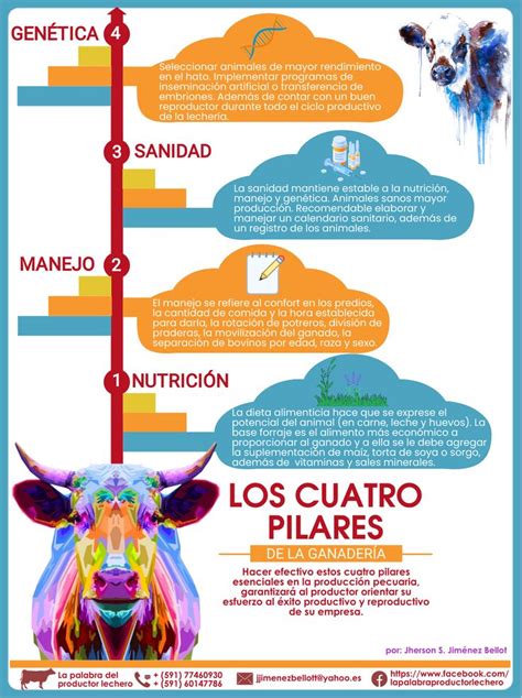 Infografía sobre los pilares del programa 