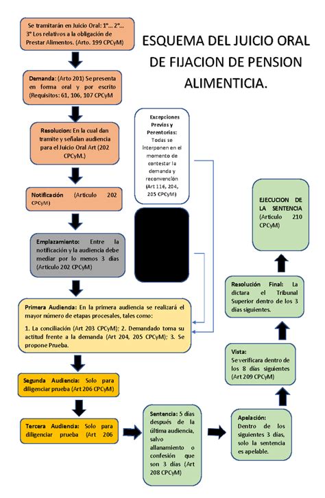 Infografía: Proceso de fijación de pensión alimenticia