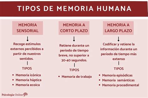 Infografía sobre los diferentes tipos de memoria y cómo son afectados por la edad