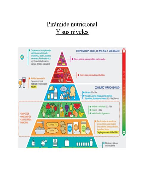 Esquema gráfico de la pirámide nutricional diseñada específicamente para las necesidades del adulto mayor