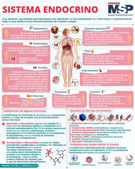 infografía sobre el funcionamiento del sistema de multifondos y la relación entre riesgo y rentabilidad