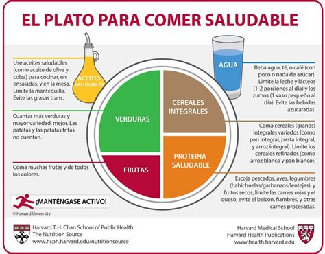 plato de comida saludable para personas mayores
