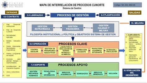 Esquema visual de la interrelación de los cursos del diplomado