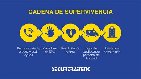 Esquema de pasos para la certificación de supervivencia: Notaría, apostilla y plataforma virtual del IPS
