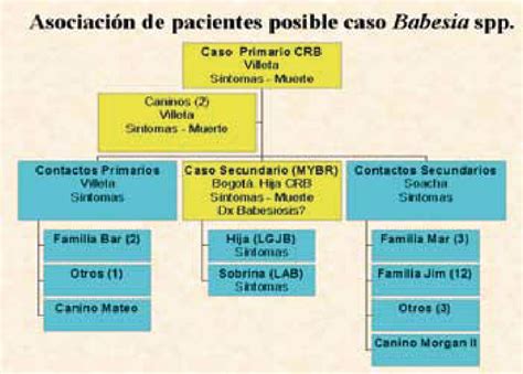 Esquema de relaciones familiares y obligaciones alimenticias