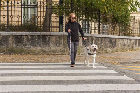 Persona con un perro guía cruzando la calle