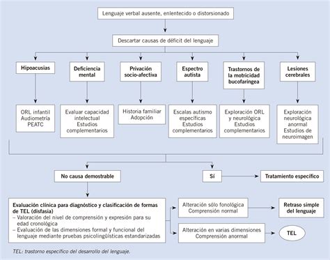 Diagrama sobre las causas genéticas y ambientales del trastorno del desarrollo del lenguaje, mostrando interacción compleja