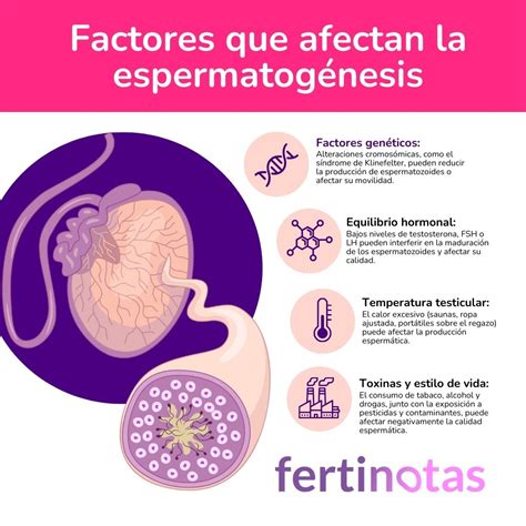 Esquema de las causas biológicas y factores que afectan la flexibilidad en el envejecimiento