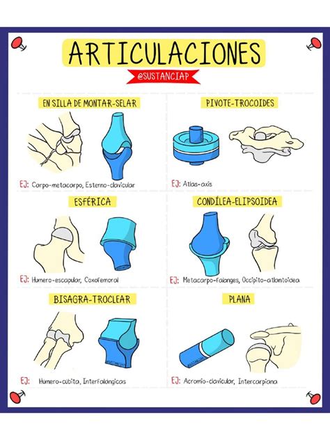 Infografía sobre los cambios en huesos, articulaciones y músculos con la edad