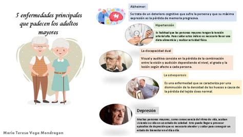 Representación gráfica de las principales enfermedades y riesgos de salud en adultos mayores en Chile.