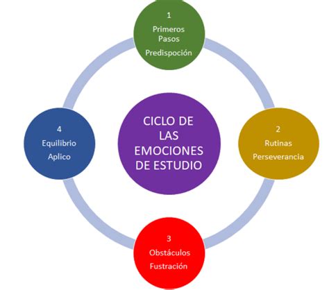 Infografía: El ciclo emocional del proceso de mudanza a una residencia (aceptación, transición y adaptación).