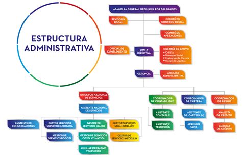 Infografía que detalla la estructura administrativa y las necesidades urgentes del hogar