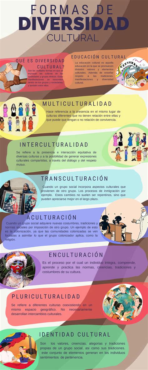 infografía comparativa que muestra la diversidad dentro de los grupos de edad (jóvenes vs. adultos mayores) destacando la heterogeneidad frente a los estereotipos