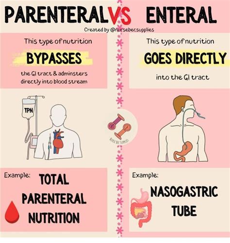 Tabla comparativa de métodos de soporte: enteral vs parenteral