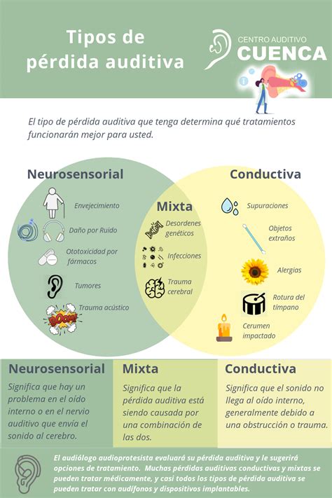 Infografía: factores de riesgo de pérdida auditiva según la edad y tipo