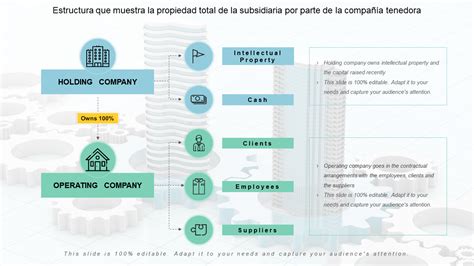 Esquema de la estructura de propiedad de una AFP con su principal accionista
