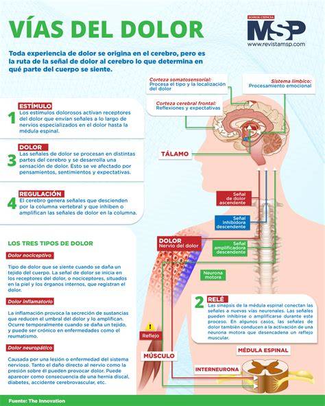 Infografía: caminos de dolor torácico en adultos mayores