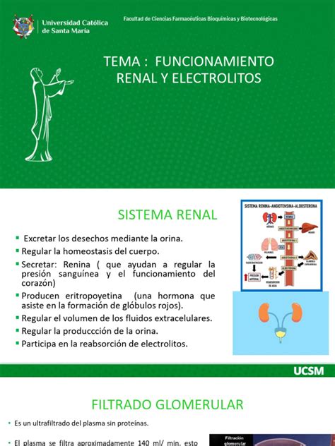Esquema de funcionamiento renal y su afectación por insuficiencia