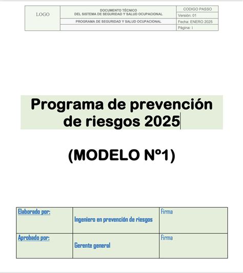 Esquema de un informe de prevencion de riesgos en asilo de ancianos