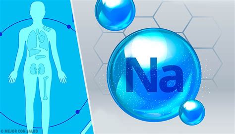 Esquema del equilibrio de sodio y líquidos en el cuerpo y función renal