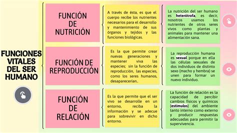 Esquema explicativo sobre la relación entre el trabajo decente y el subsidio de Ingreso Mínimo Garantizado.