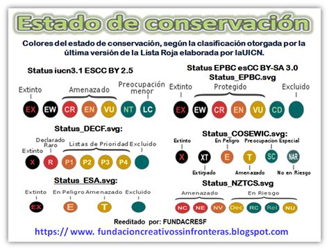 Infografía de las categorías de estado de conservación de la UICN