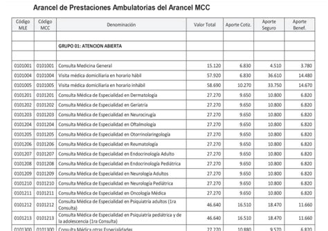 Esquema gráfico que explica la composición del arancel MLE: suma del aporte de Fonasa y el copago del paciente según el nivel del profesional.
