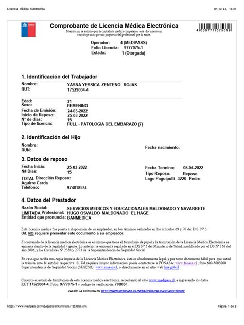 Esquema de flujo de tramitación de licencia médica electrónica y en papel