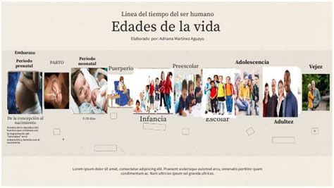 Esquema visual que muestra la línea del tiempo del ciclo vital humano con sus divisiones principales: niñez, juventud, adultez y vejez.