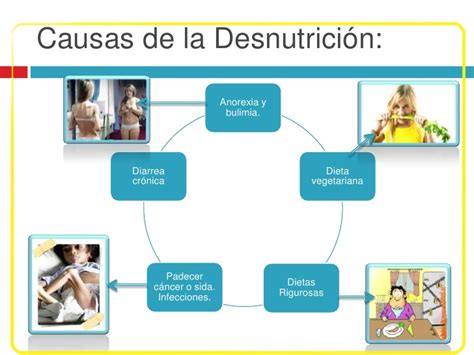Esquema de las causas y consecuencias de la desnutrición en el adulto mayor