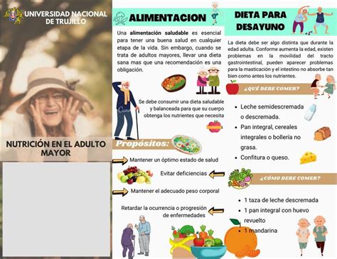 Infografía con consejos para una dieta saludable en adultos mayores, destacando la importancia de proteínas, vitaminas y minerales.