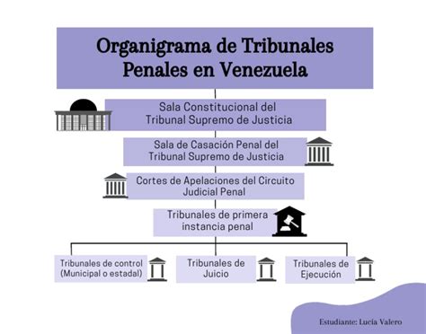 Esquema: Estructura y funciones de los Tribunales de Familia en Chile