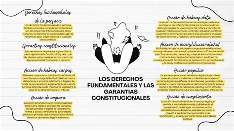 Diagrama que ilustra los diferentes tipos de derechos fundamentales y sus garantías
