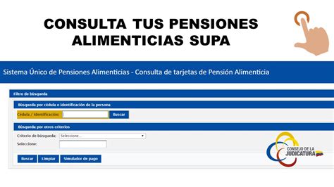 Interfaz de la herramienta digital de consulta de pensiones